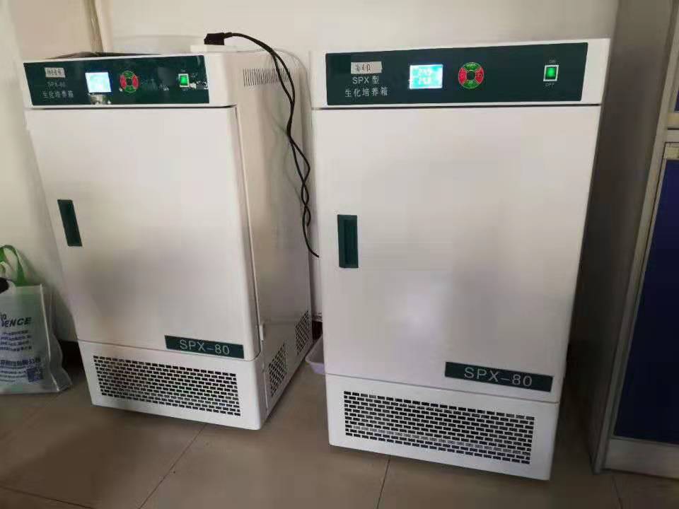 Konstant-Temperatur Biochemical Inkubator